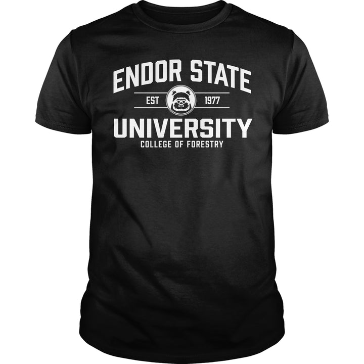 Endor State University