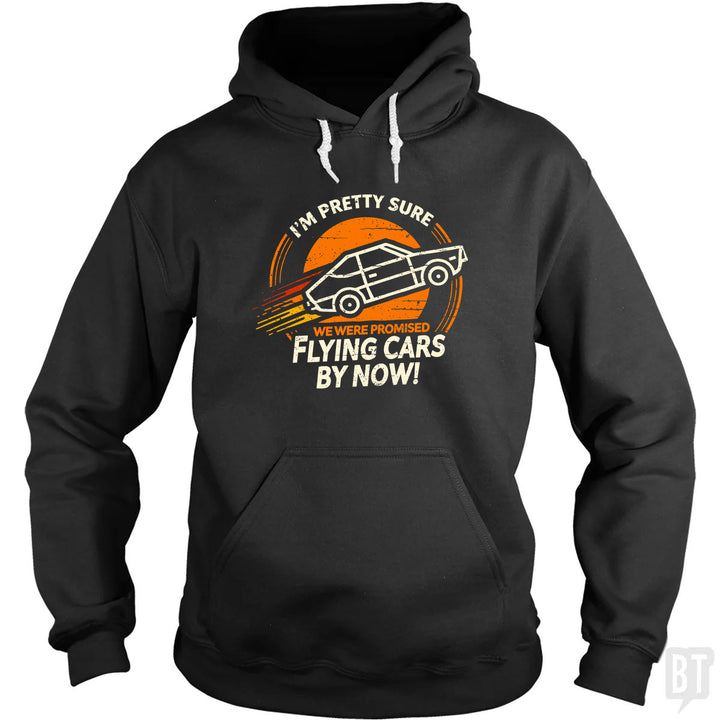 Flying Cars By Now! Hoodie
