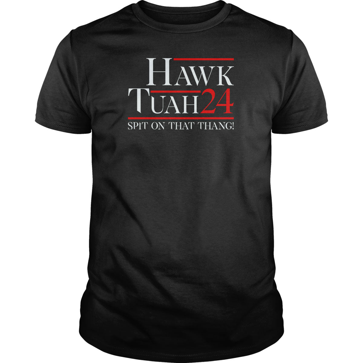 Hawk Tuah 2024