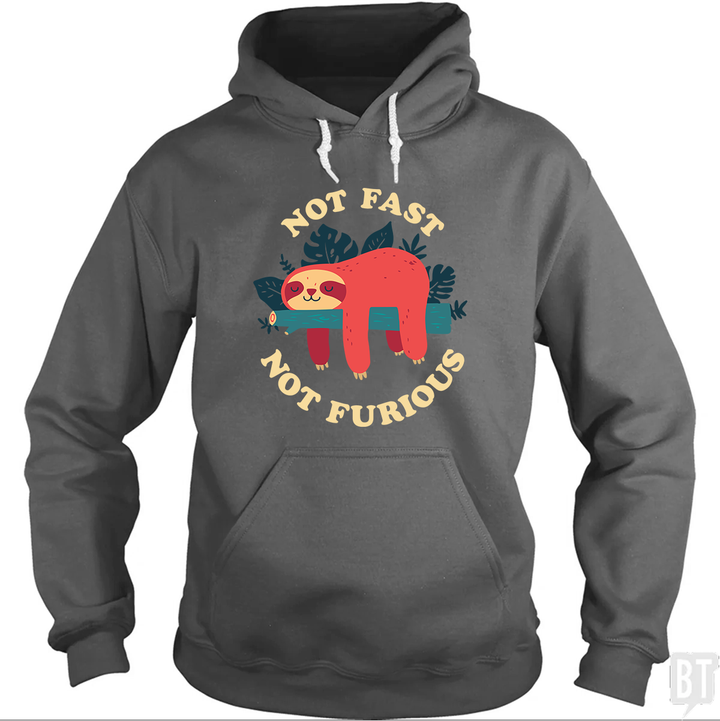 Funny Sloth Not Fast Not Furious Hoodie