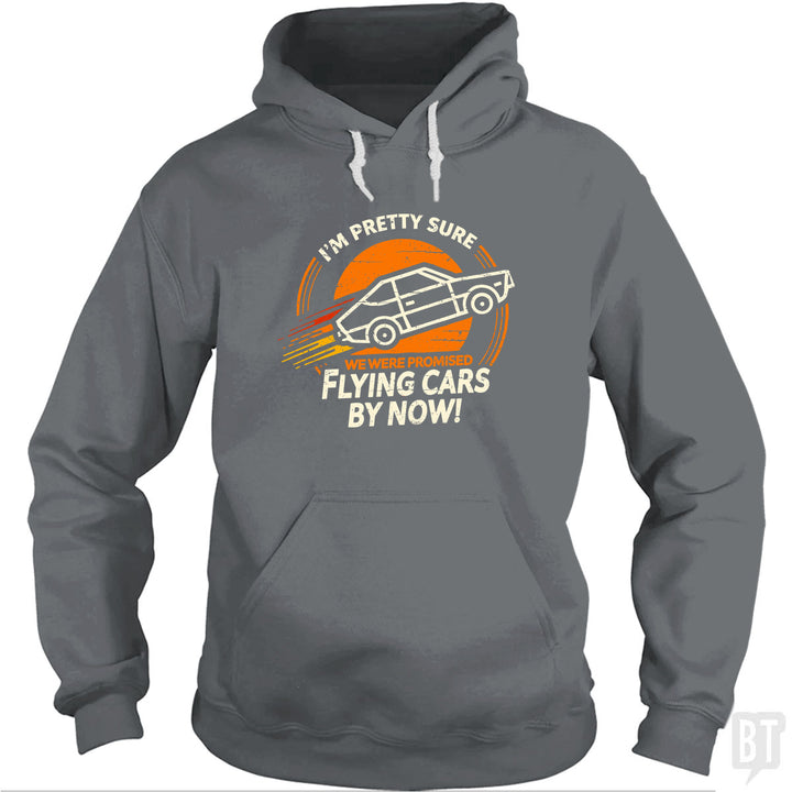 Flying Cars By Now! Hoodie