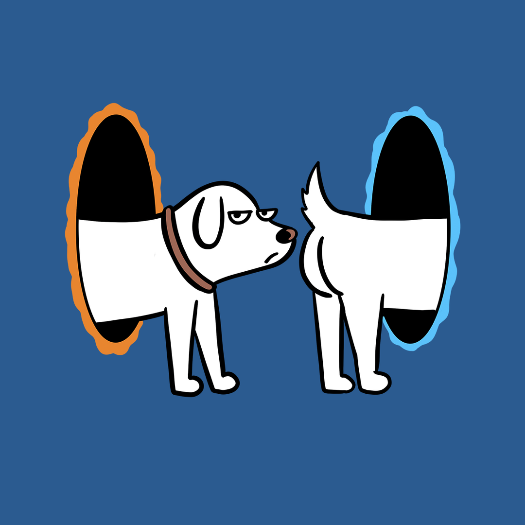 Dog Portal Hoodie