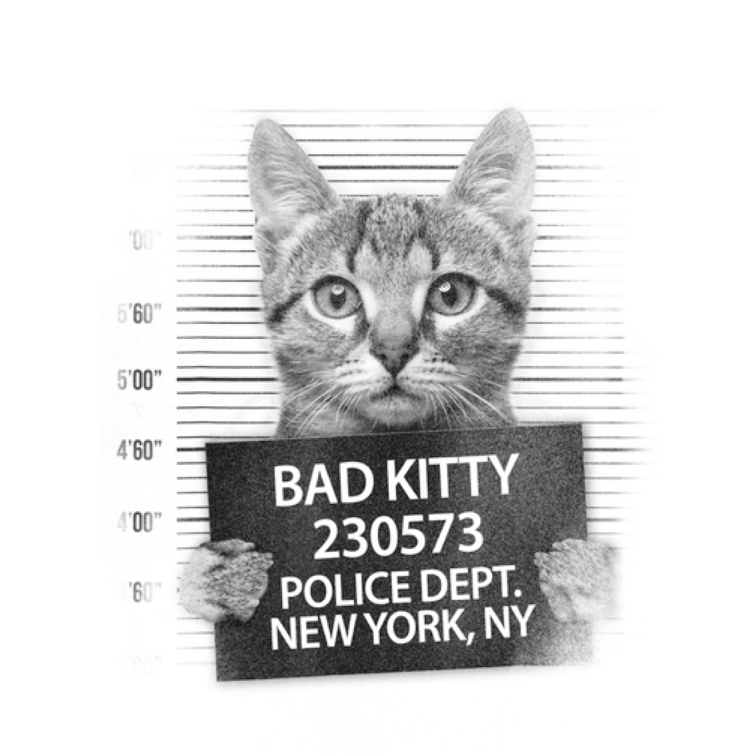 Funny Cute Bad Kitty Cat Kids Shirt