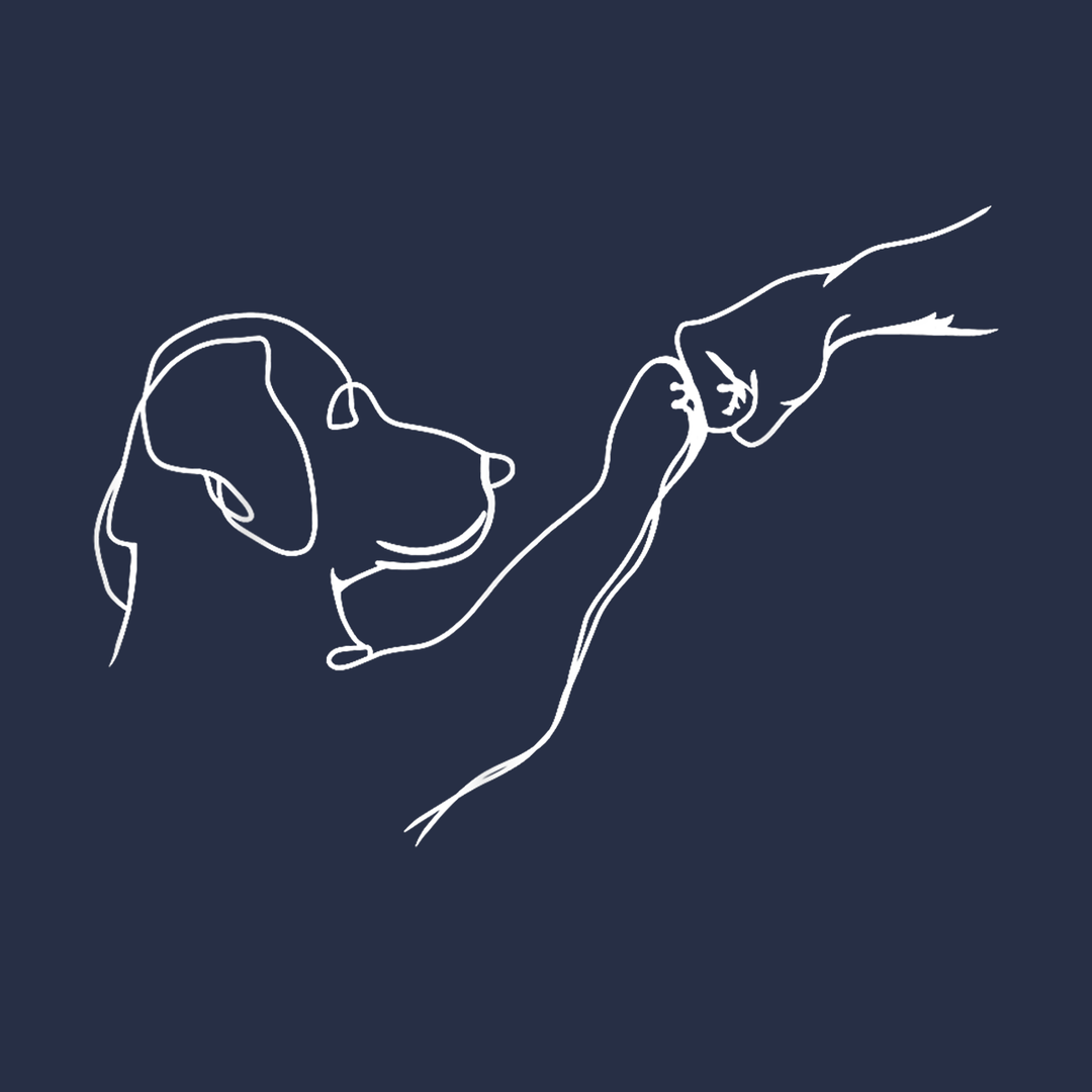 Dog and Human Fist Bump