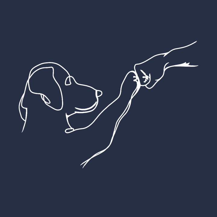 Dog and Human Fist Bump