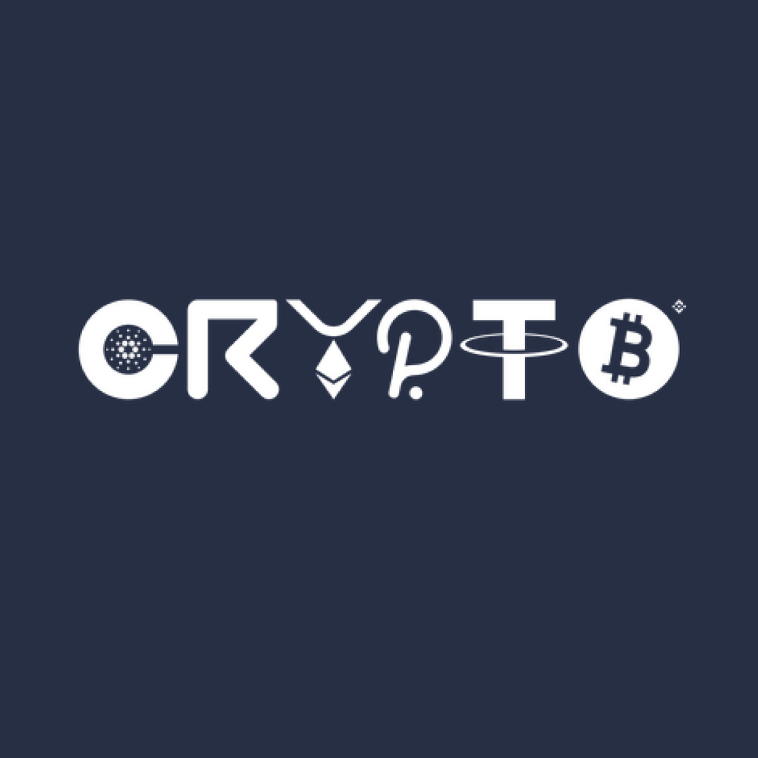 Crypto Logo Hoodie
