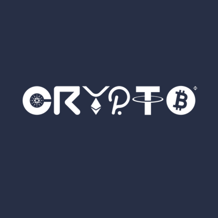 Crypto Logo Hoodie