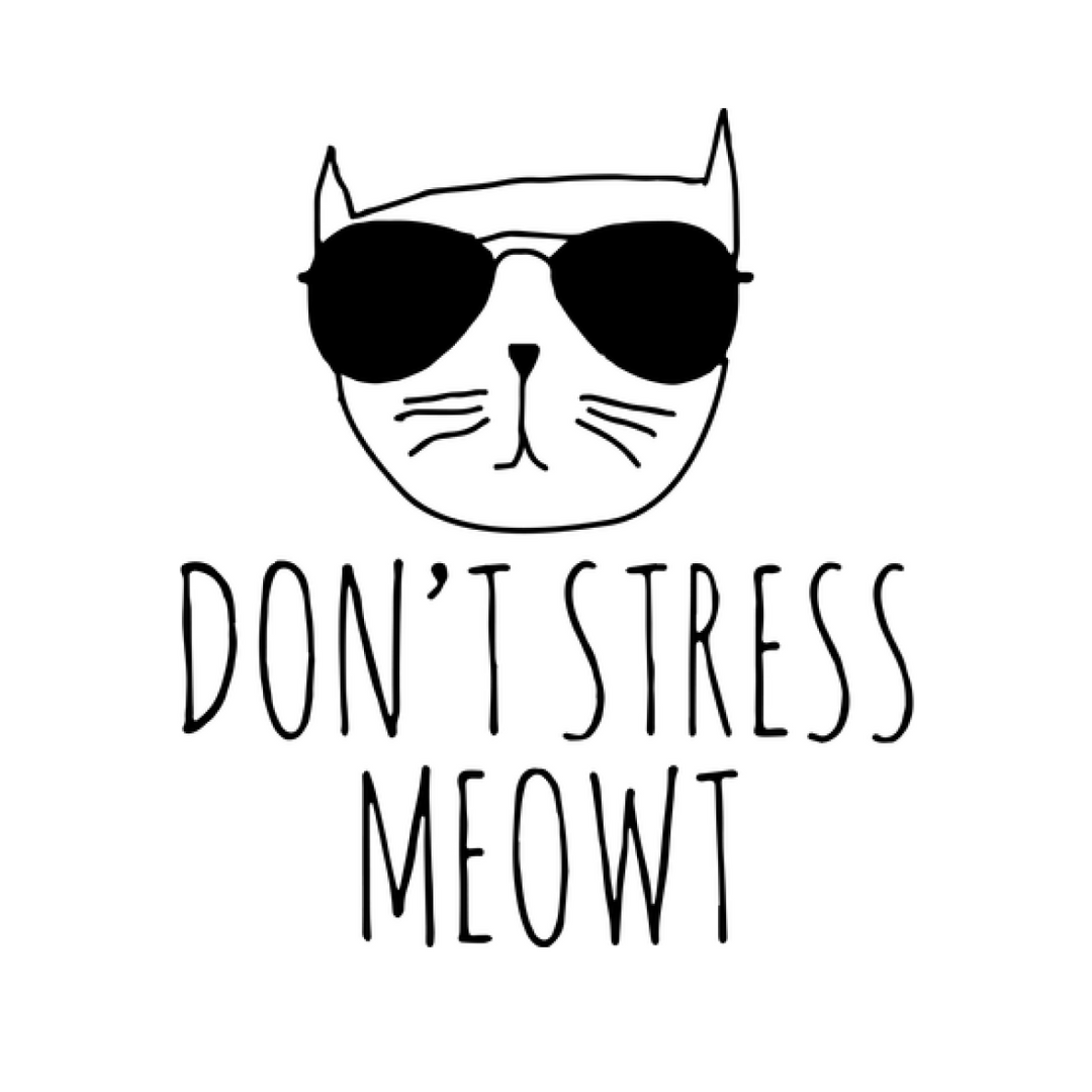 Don't Stress Meowt Kids Shirt