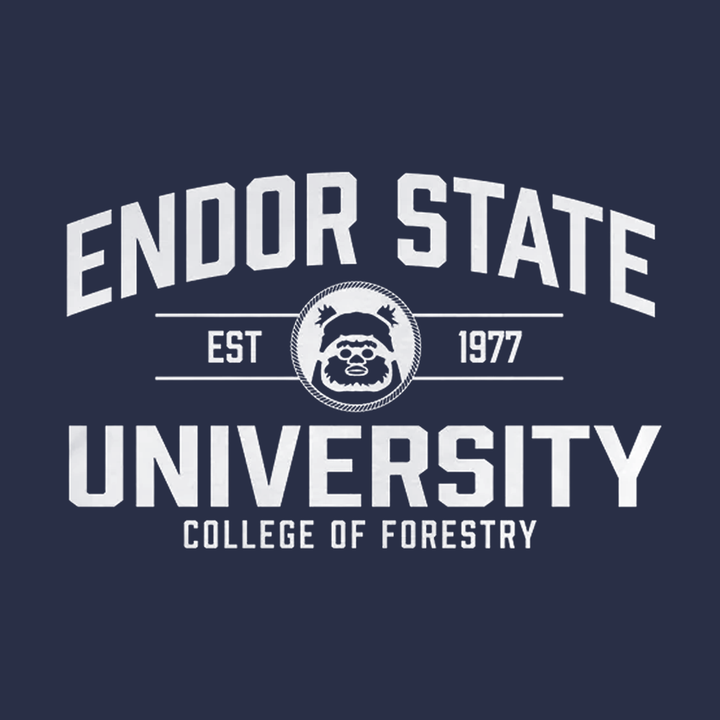 Endor State University Hoodie