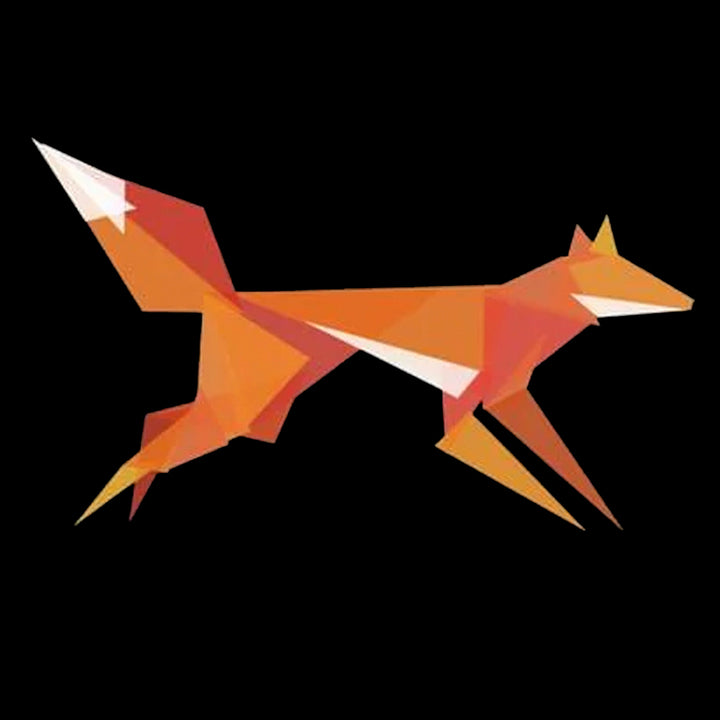 Fractal Geometric Fox Hoodie