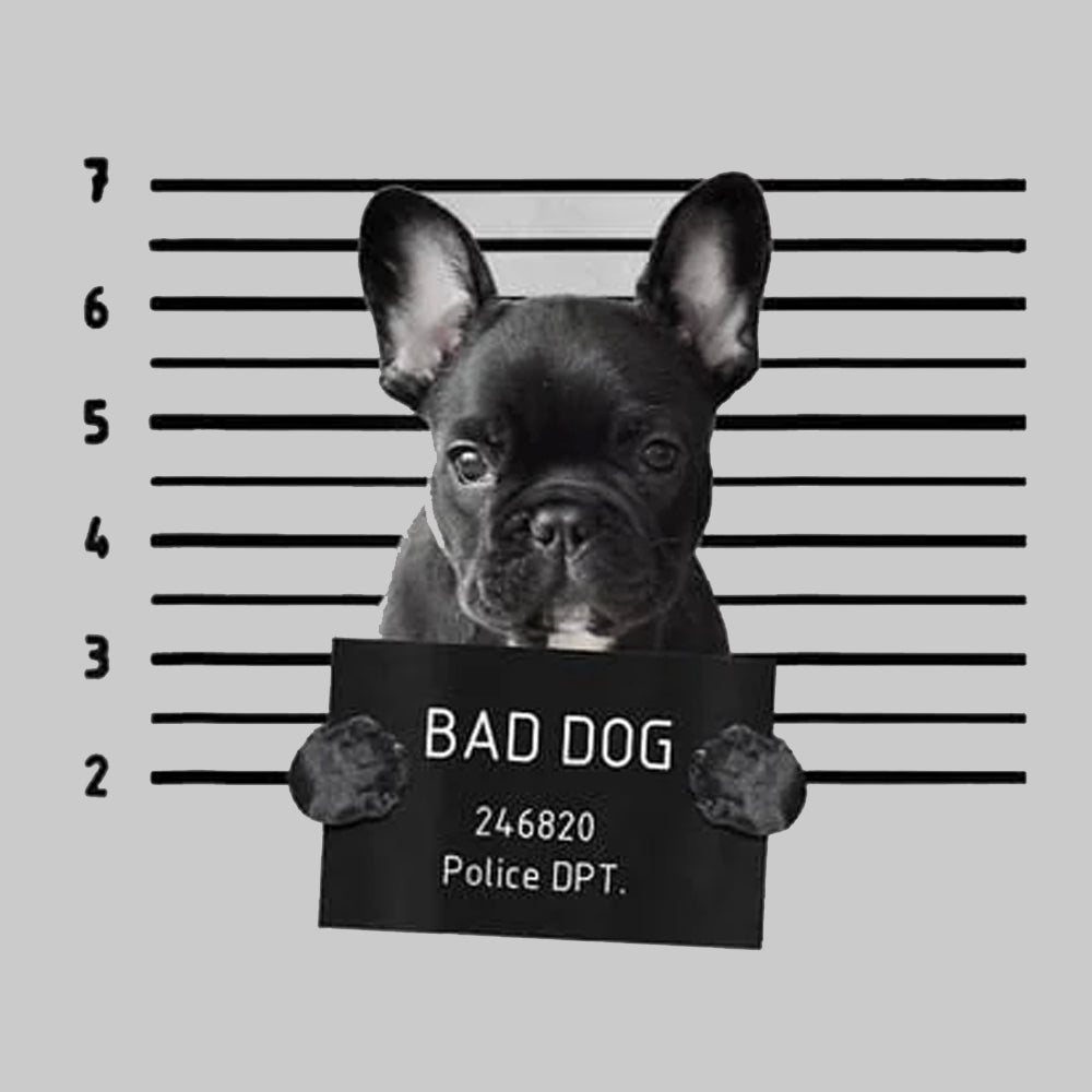 French Bulldog Prison Hoodie