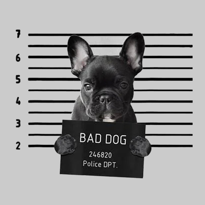 French Bulldog Prison Hoodie