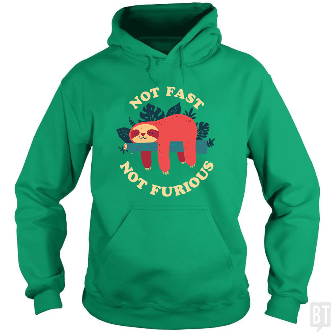 Funny Sloth Not Fast Not Furious Hoodie