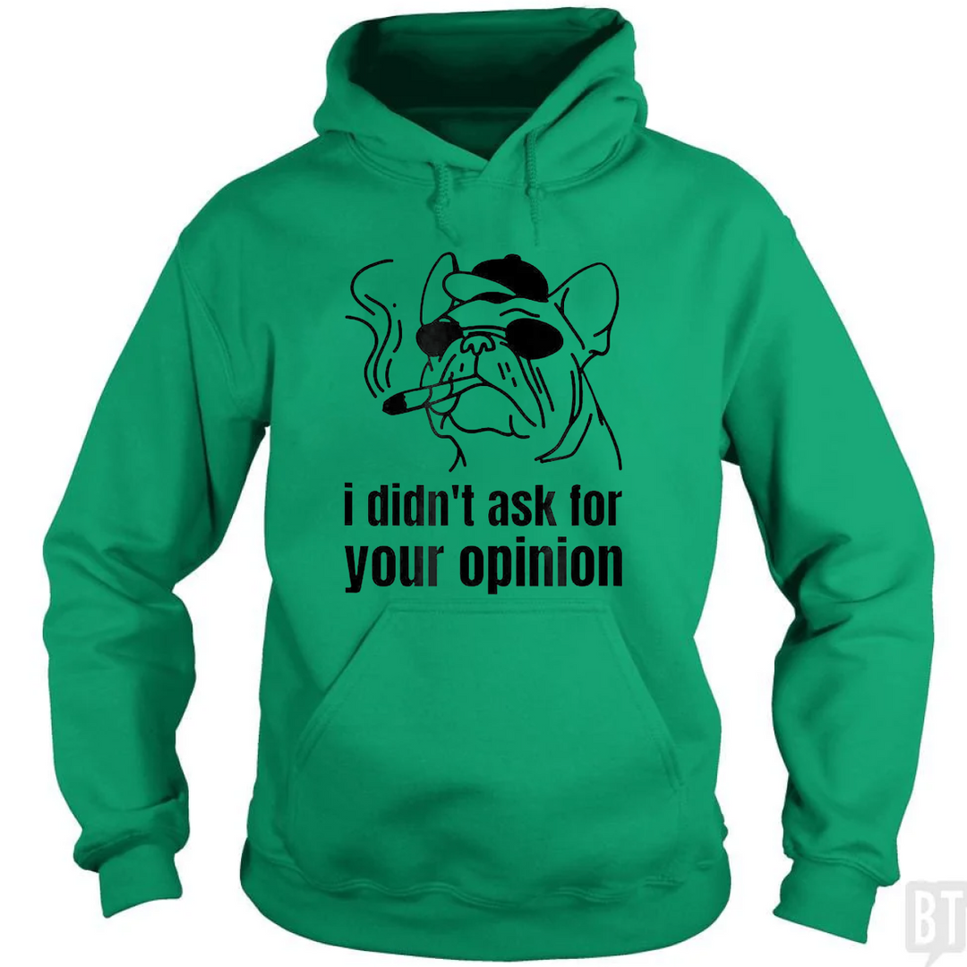 Didn't Ask For Your Opinion Hoodie