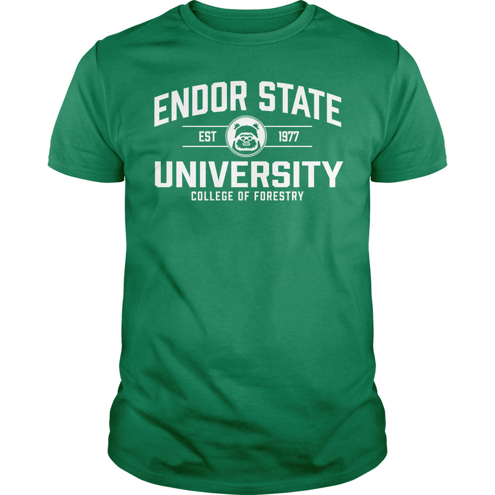 Endor State University