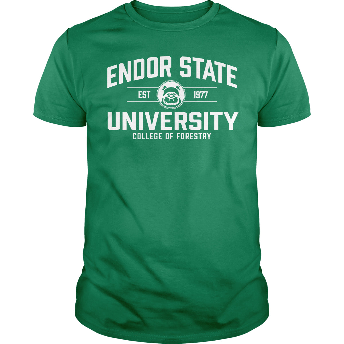 Endor State University