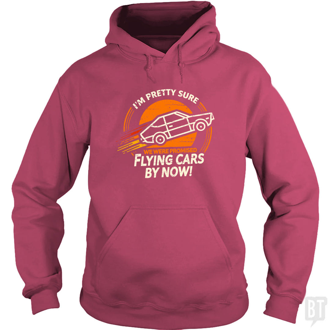 Flying Cars By Now! Hoodie