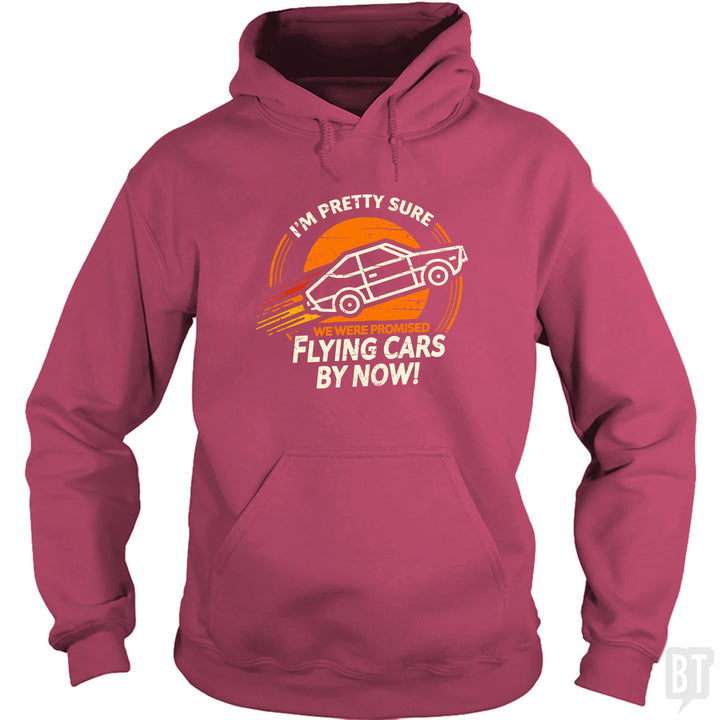 Flying Cars By Now! Hoodie