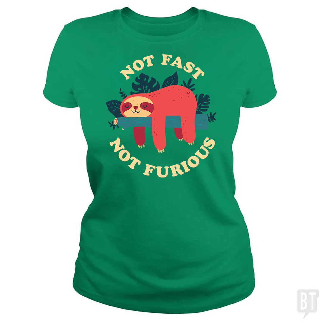 Funny Sloth Not Fast Not Furious