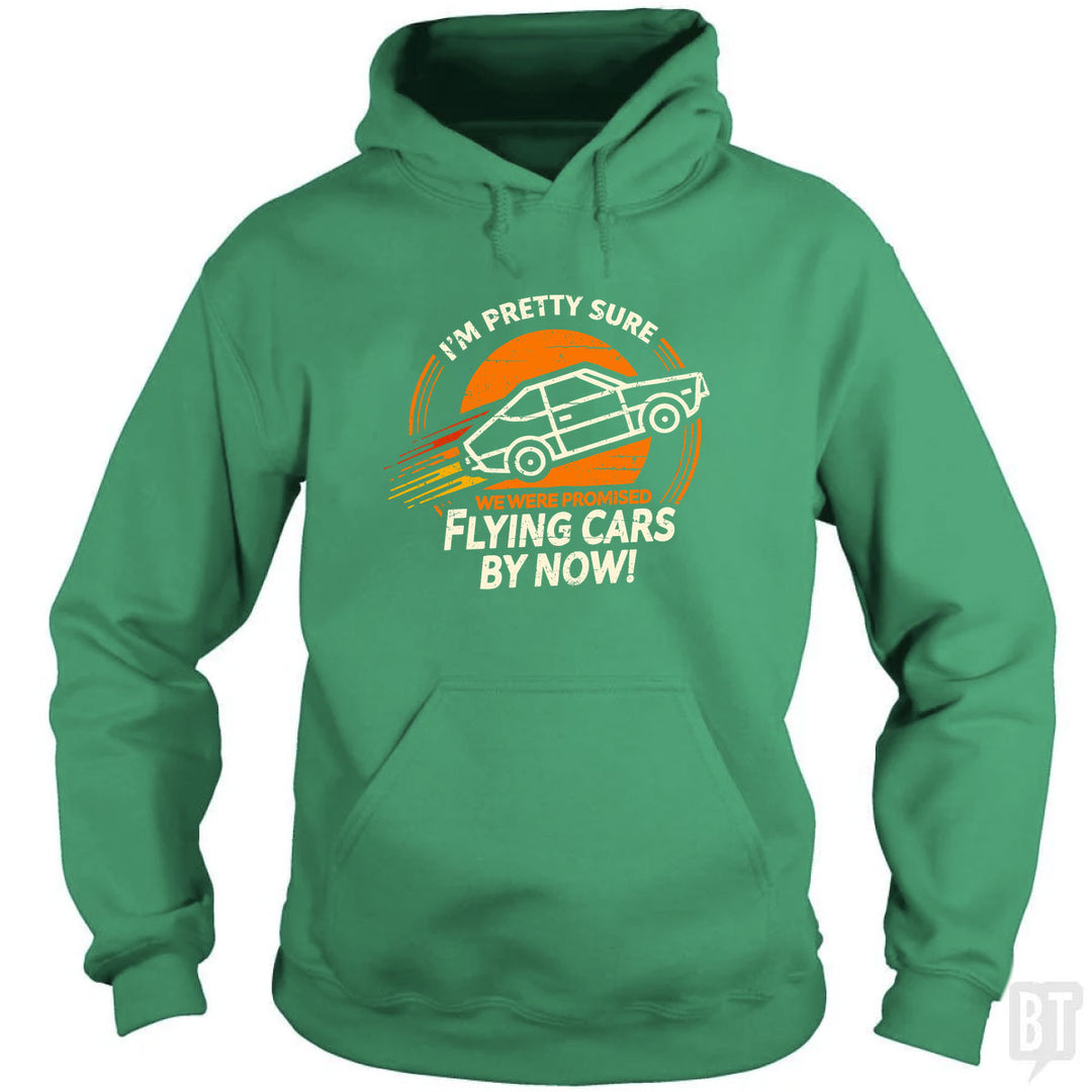 Flying Cars By Now! Hoodie