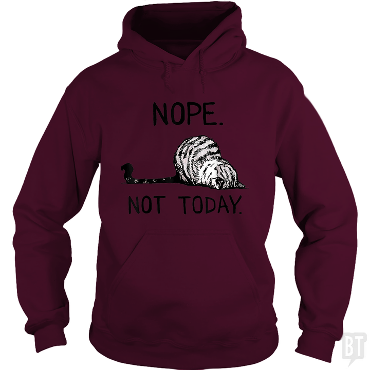 Nope Not Today Cat Hoodie