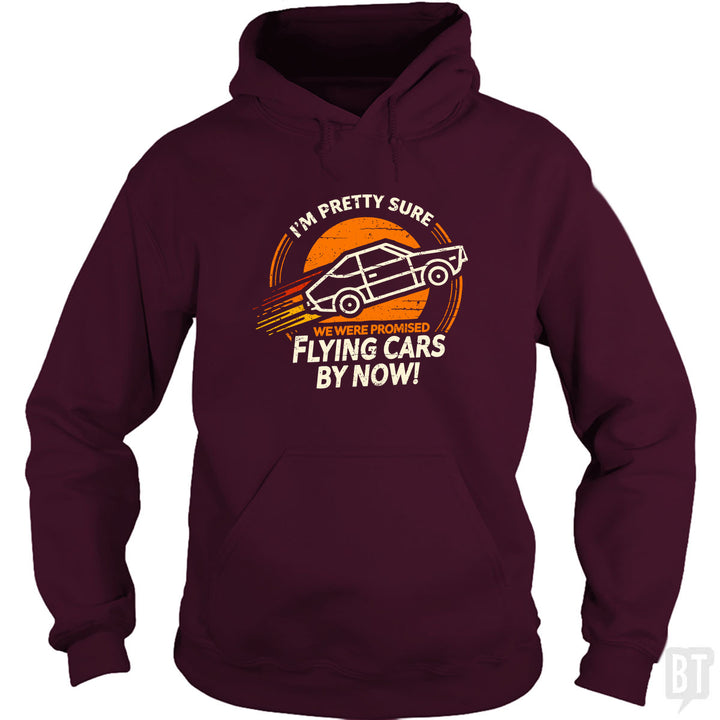 Flying Cars By Now! Hoodie