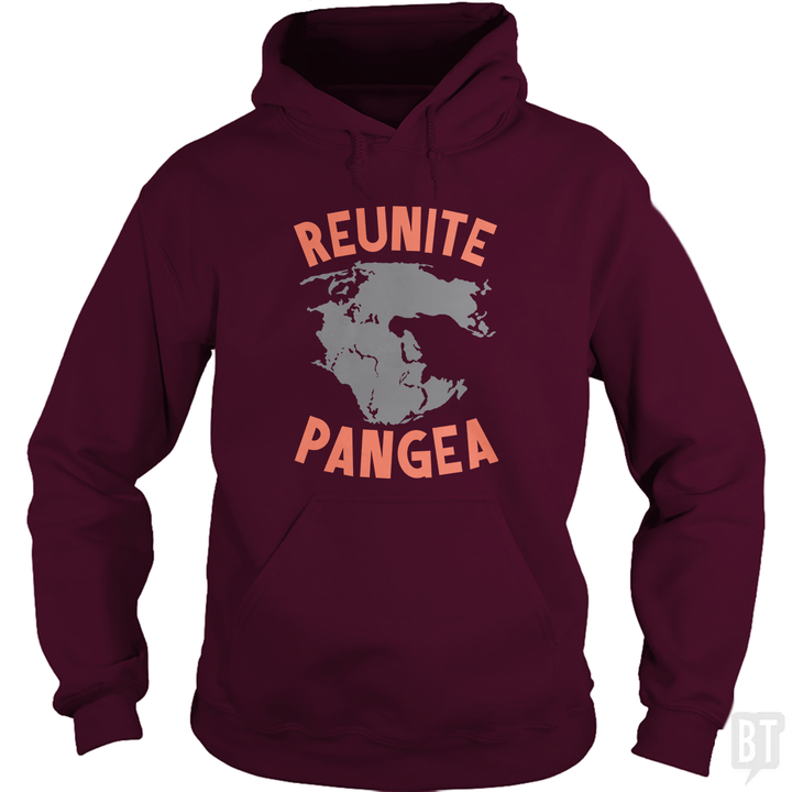 Reunite Pangea Hoodie