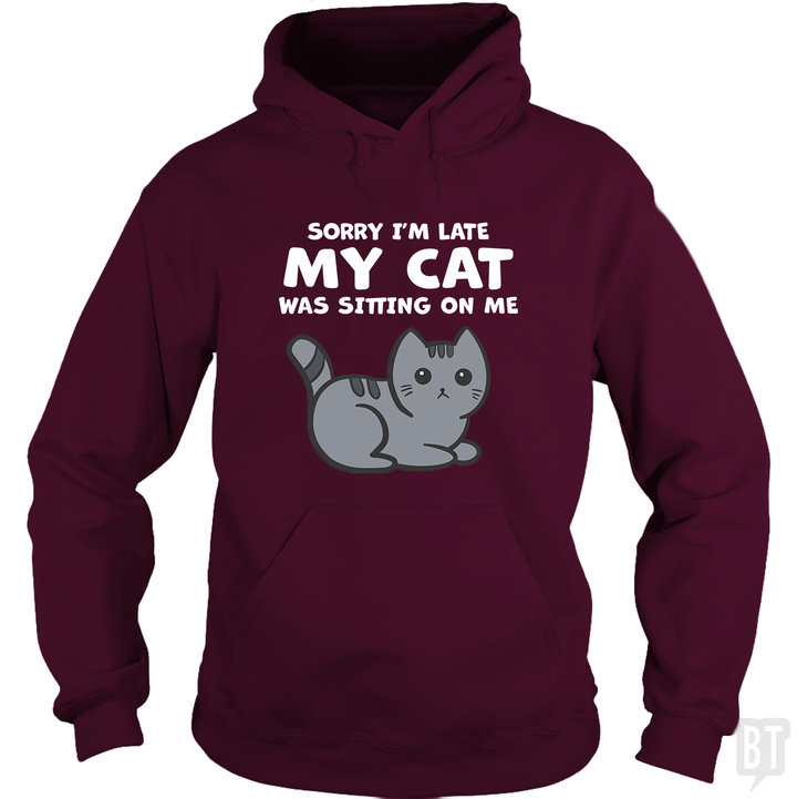 Sorry I'm Late My Cat Was Sitting On Me Hoodie