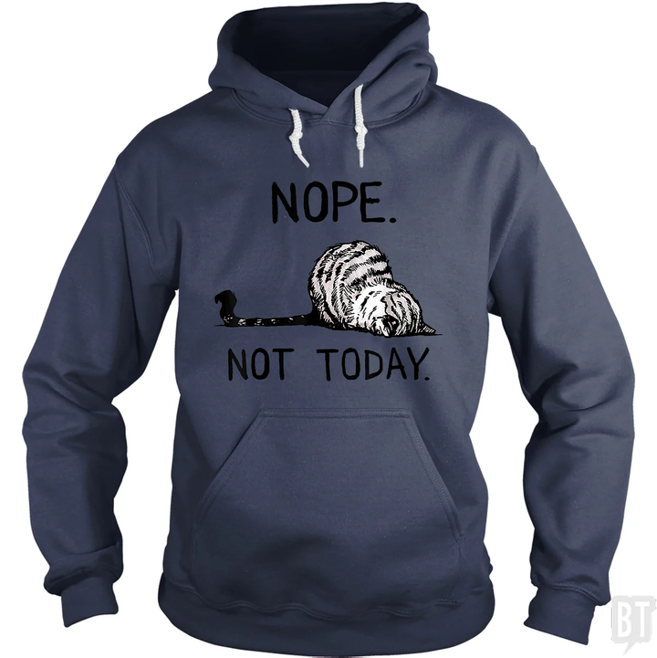 Nope Not Today Cat Hoodie