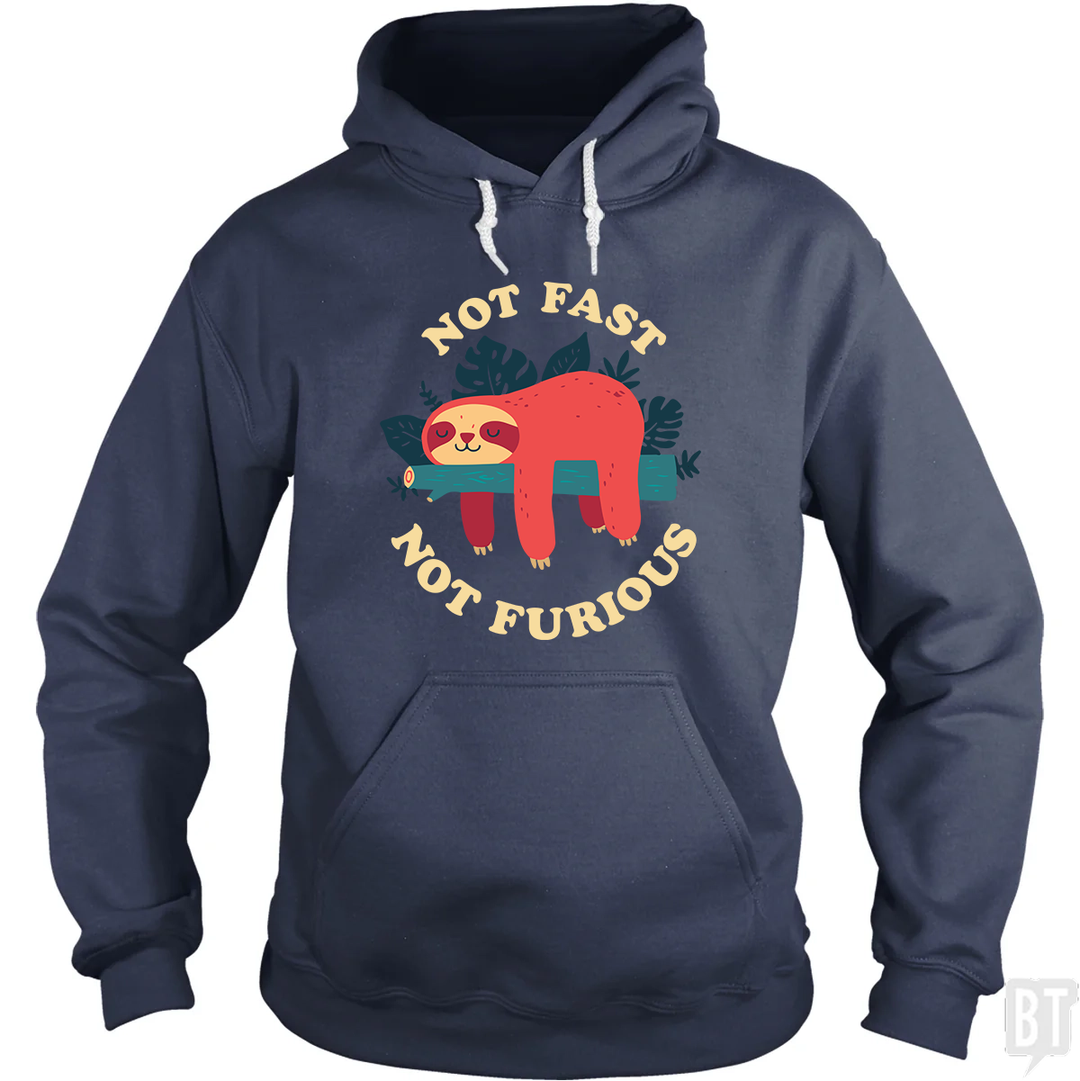 Funny Sloth Not Fast Not Furious Hoodie