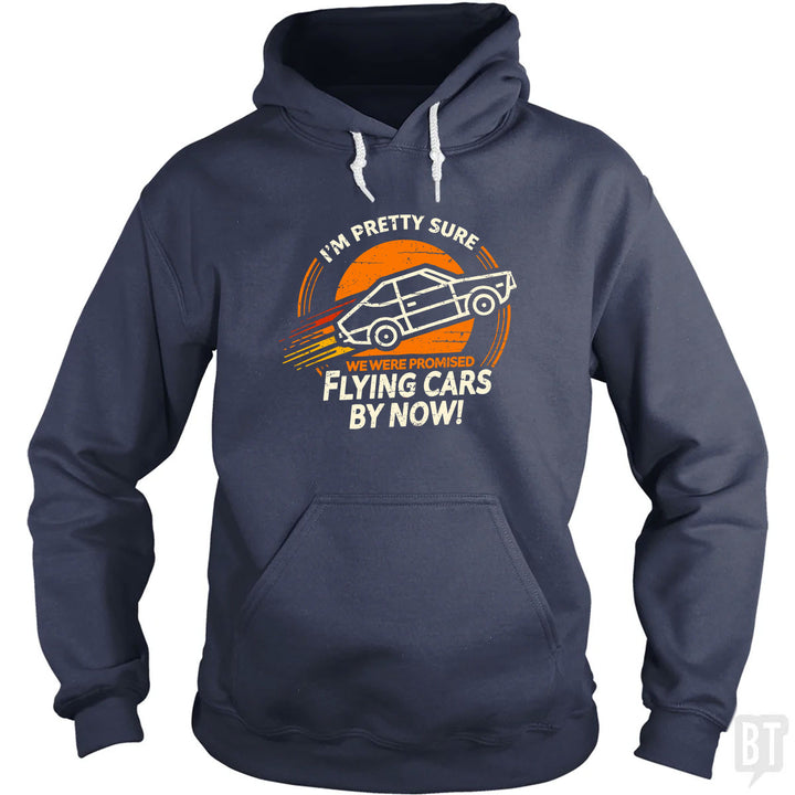 Flying Cars By Now! Hoodie