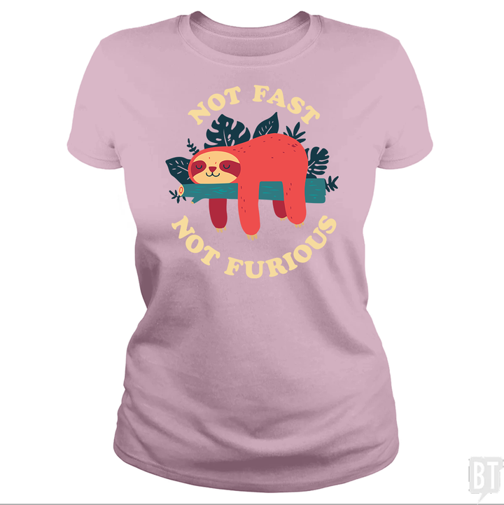 Funny Sloth Not Fast Not Furious