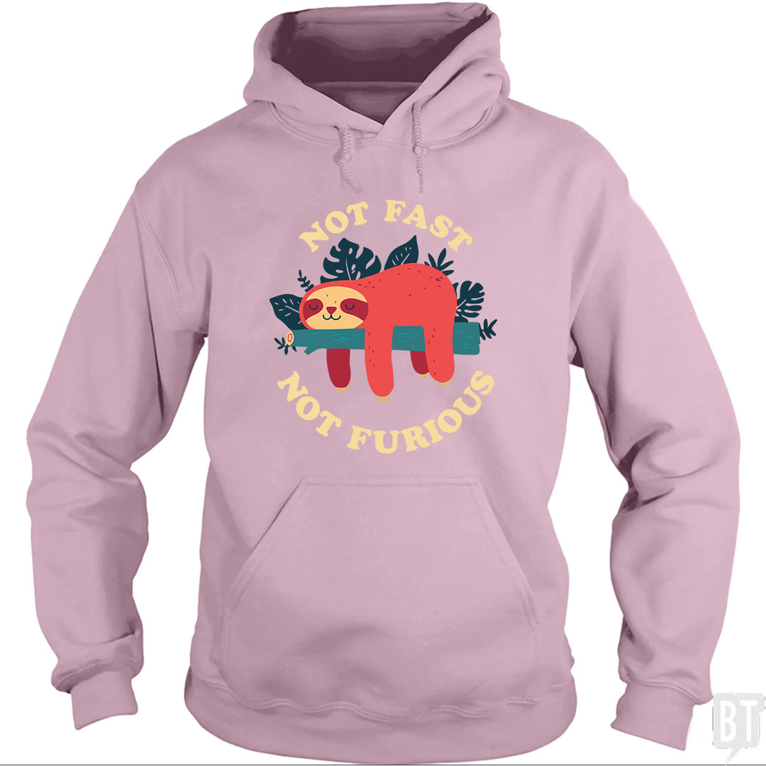 Funny Sloth Not Fast Not Furious Hoodie
