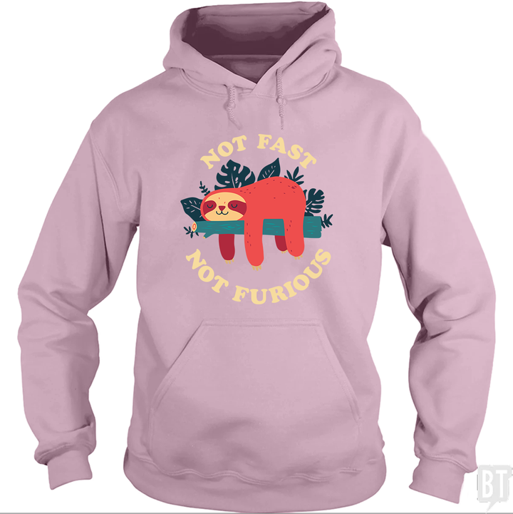 Funny Sloth Not Fast Not Furious Hoodie