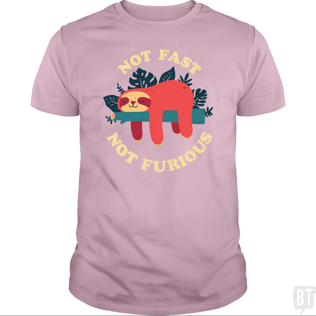 Funny Sloth Not Fast Not Furious