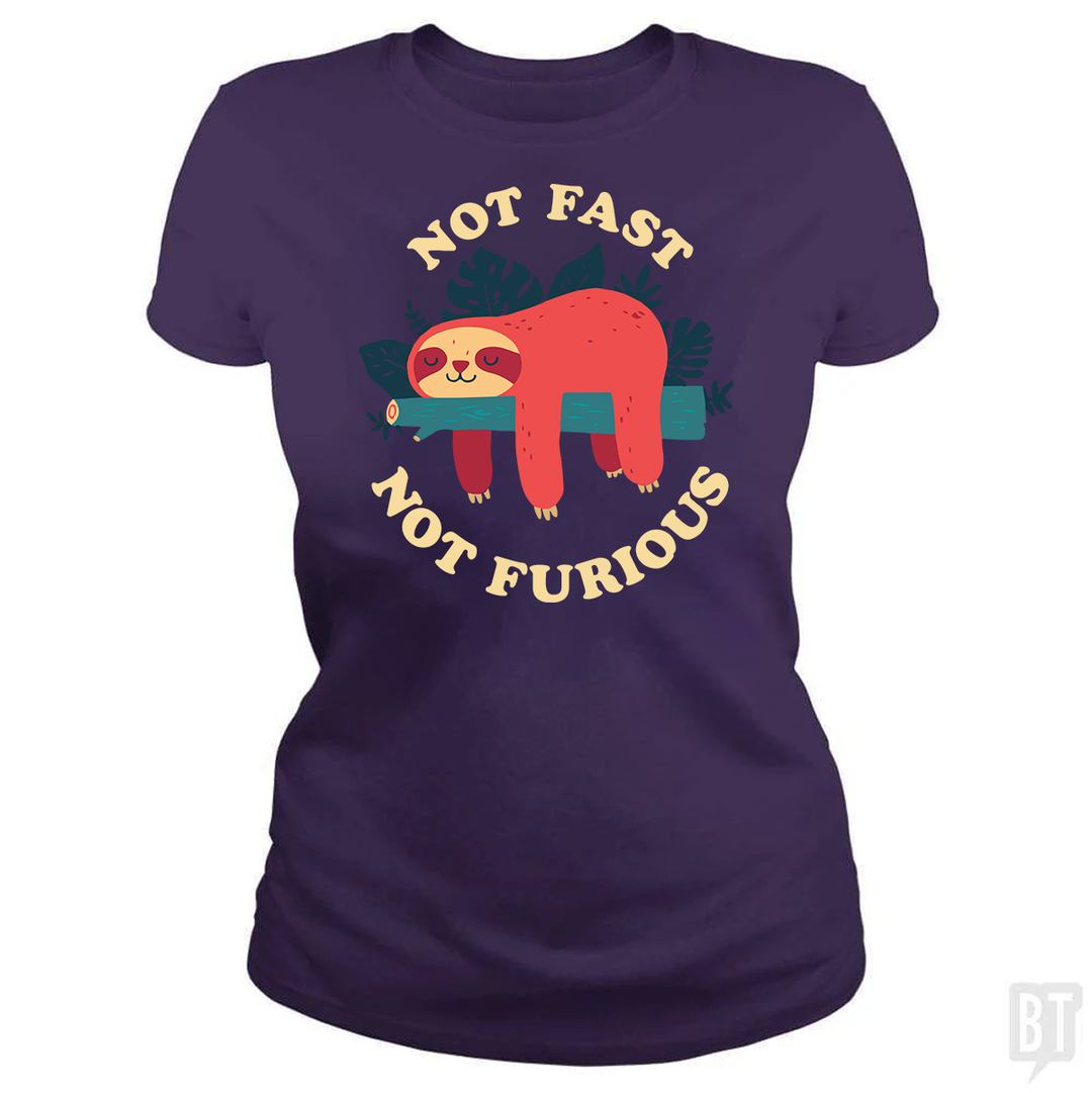 Funny Sloth Not Fast Not Furious