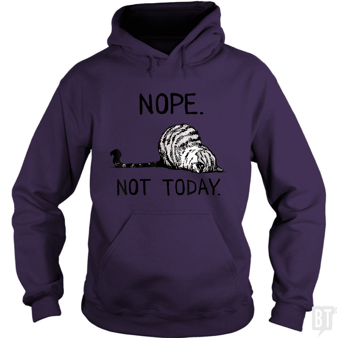 Nope Not Today Cat Hoodie