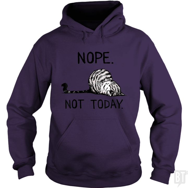 Nope Not Today Cat Hoodie