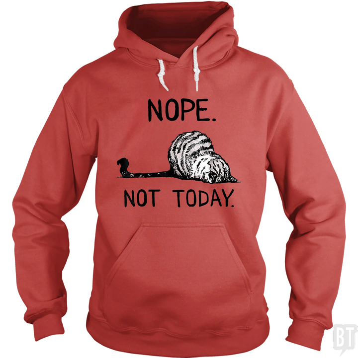 Nope Not Today Cat Hoodie