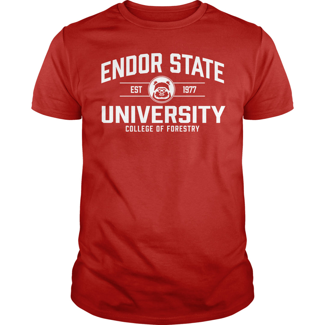 Endor State University