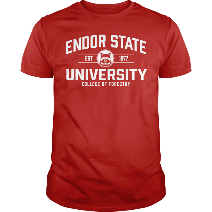 Endor State University