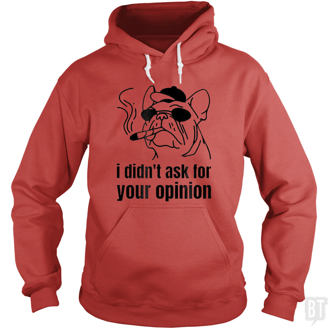 Didn't Ask For Your Opinion Hoodie