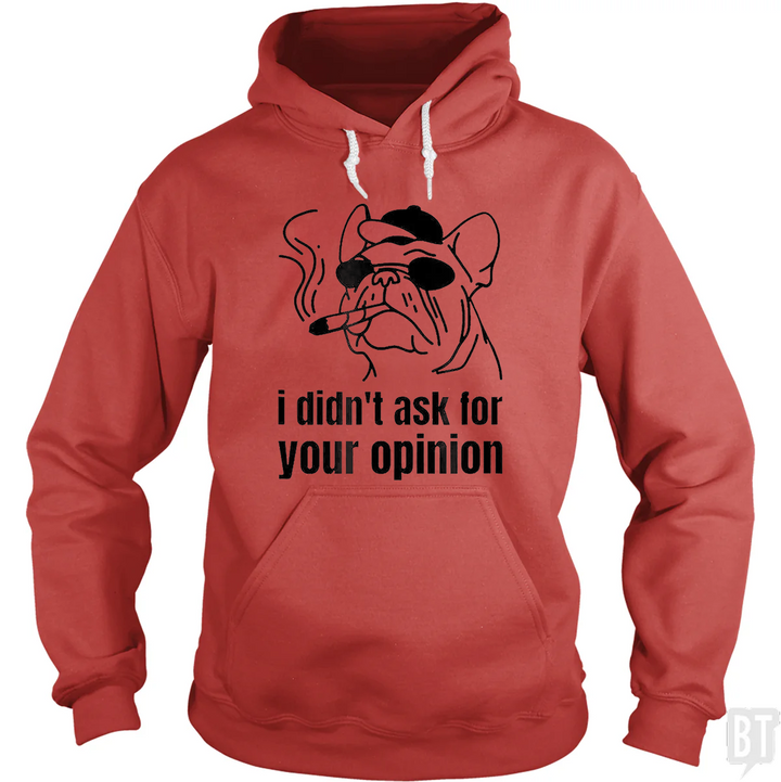 Didn't Ask For Your Opinion Hoodie