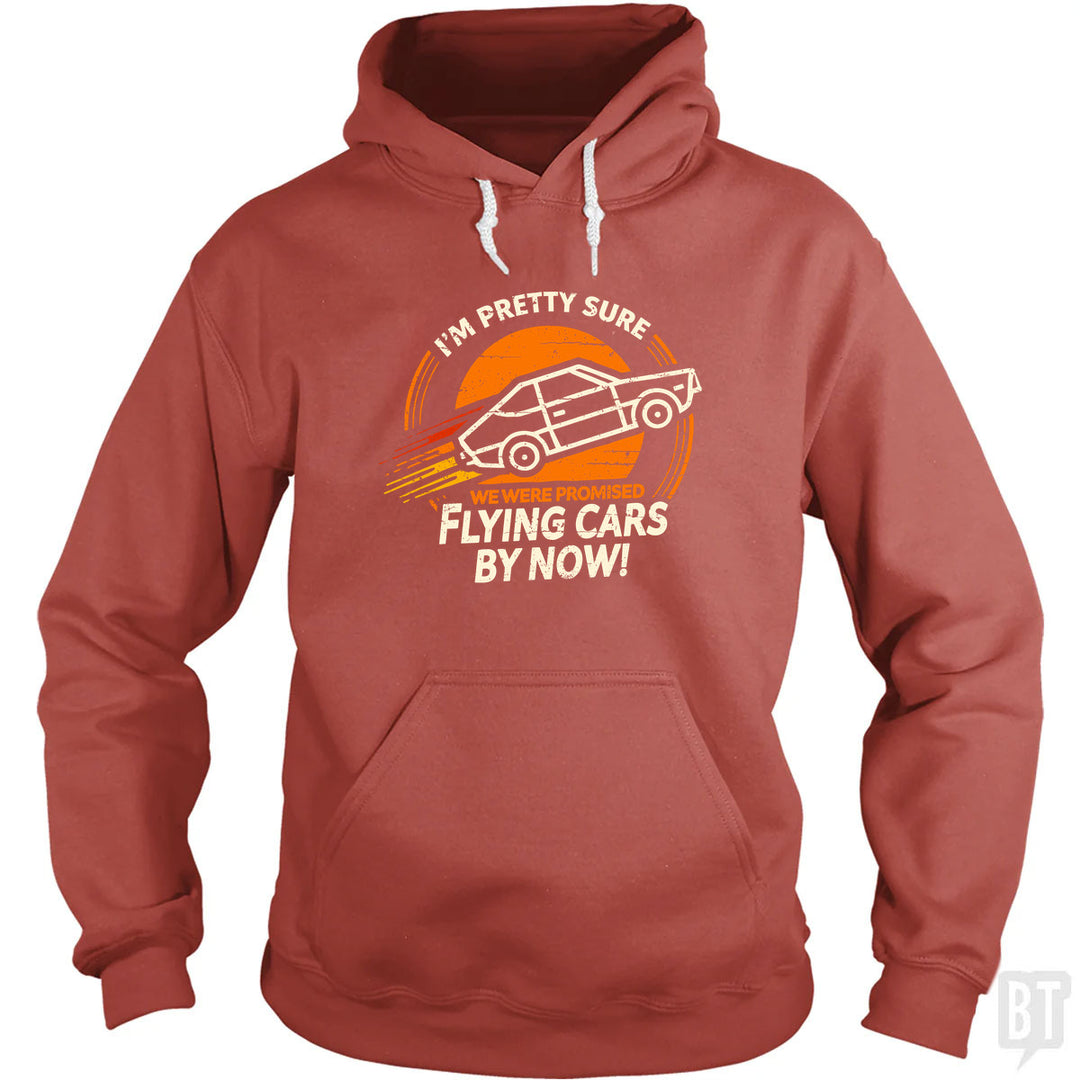 Flying Cars By Now! Hoodie