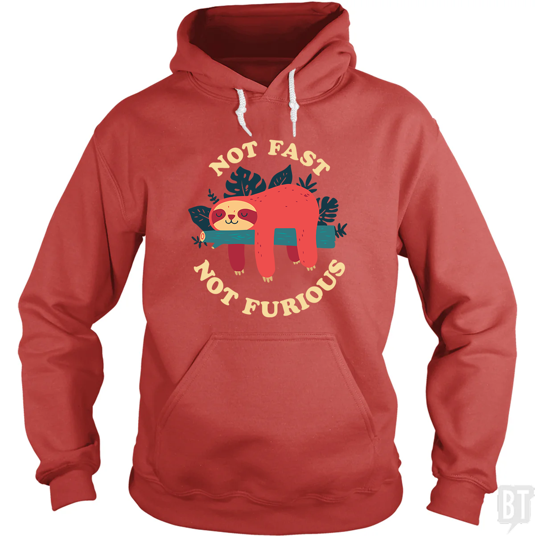 Funny Sloth Not Fast Not Furious Hoodie