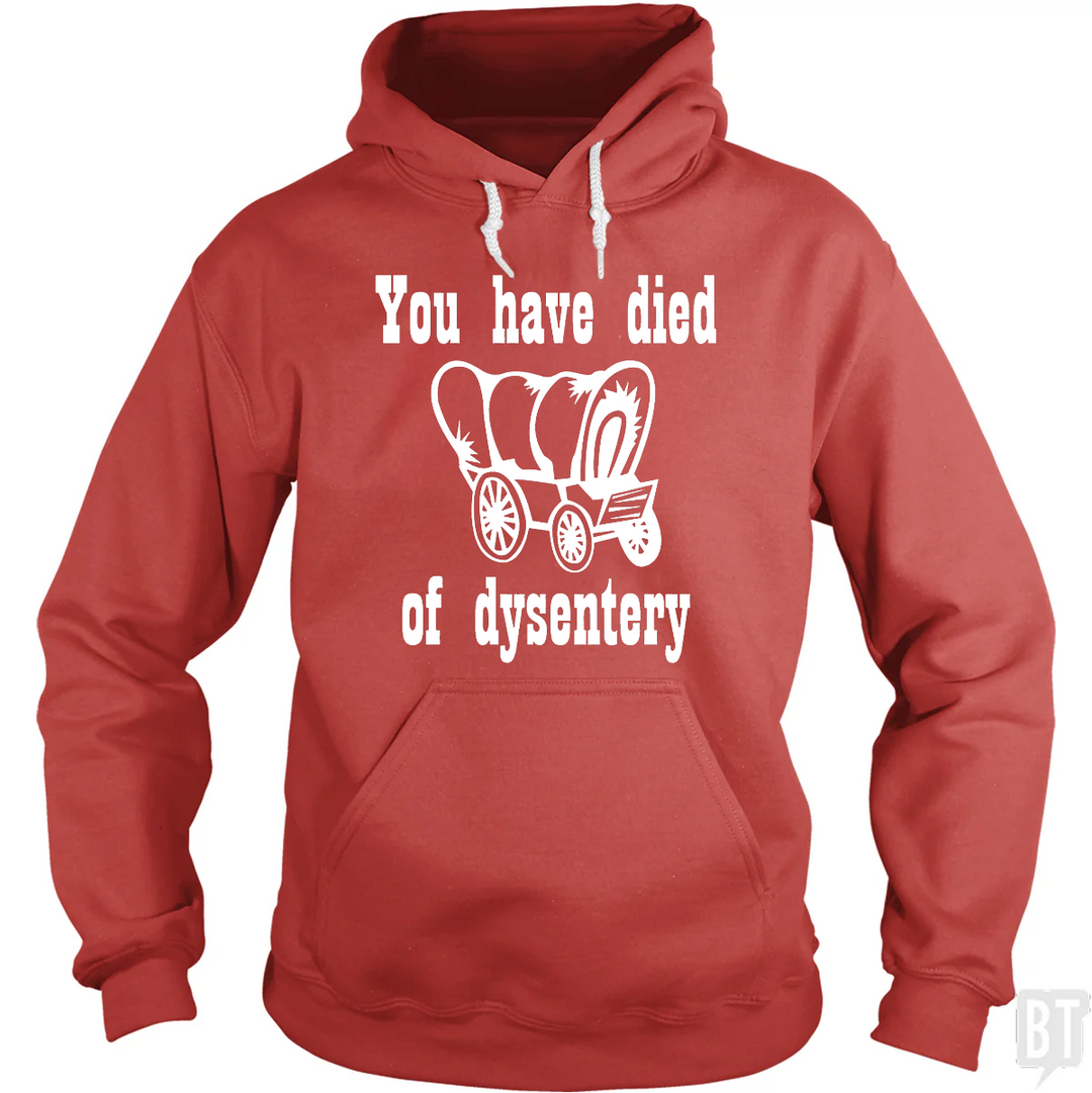 You Have Died Of Dysentery #2 Hoodie