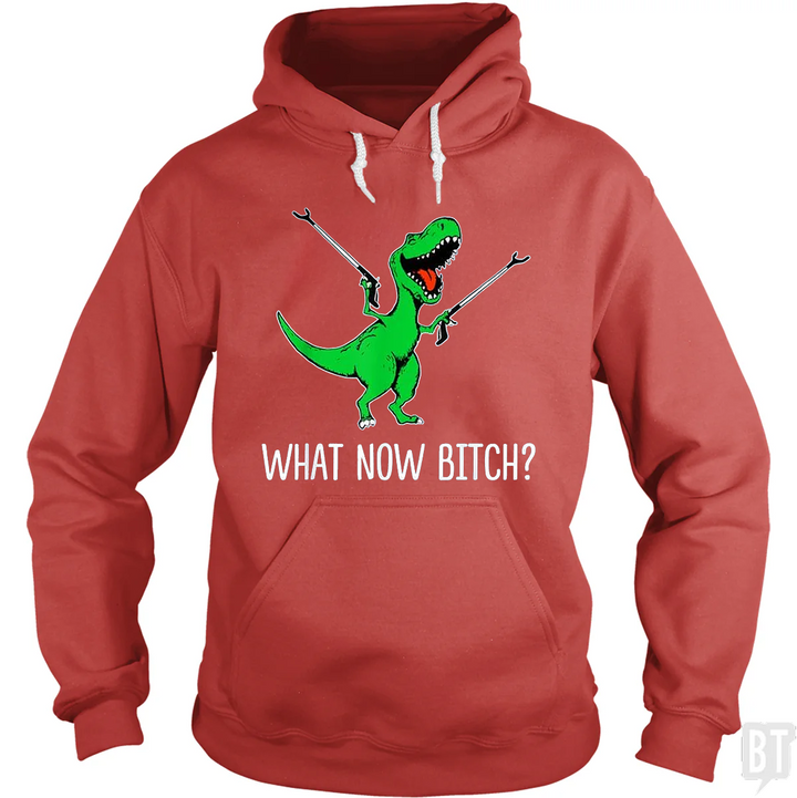 What Now Bitch T-Rex Hoodie
