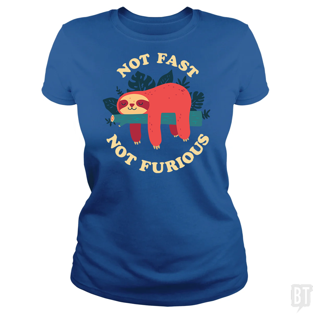 Funny Sloth Not Fast Not Furious