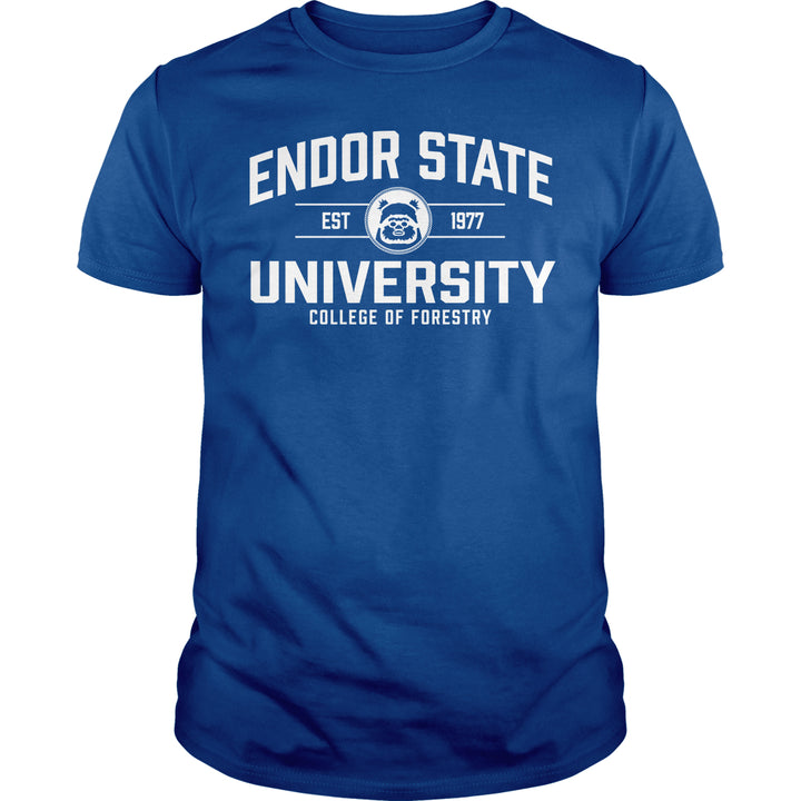 Endor State University