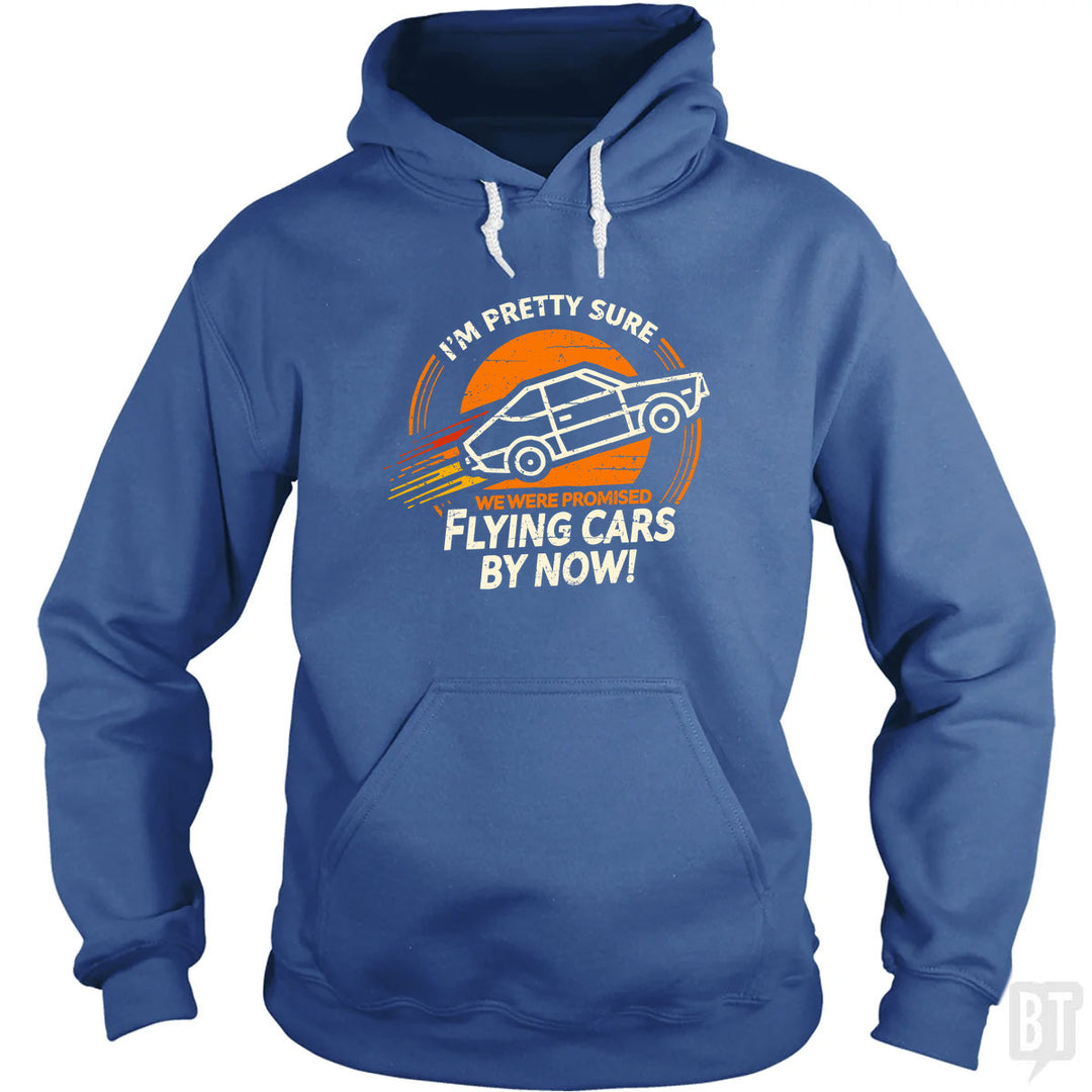 Flying Cars By Now! Hoodie